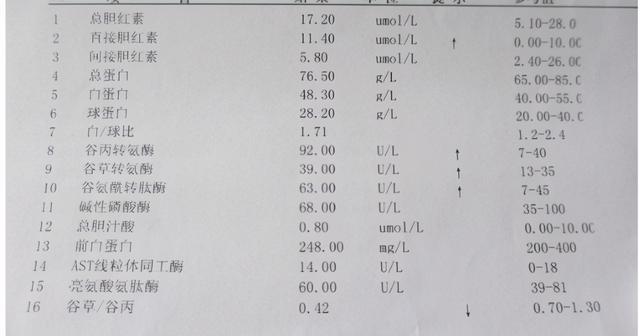 乙肝大三阳能活多久？阶段不同