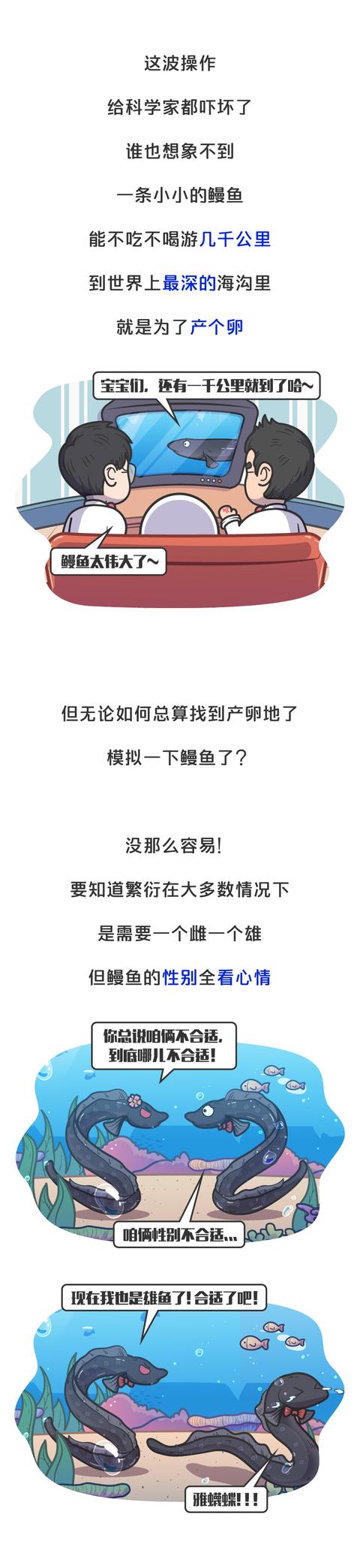 鳗鱼要灭绝了？！以后再也吃不到鳗鱼饭