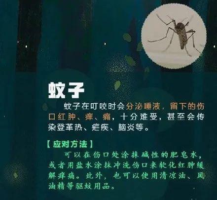 [光明网]高烧不退，严重可致命！青岛又有孩子中招！这个“小黑点”千万别大意