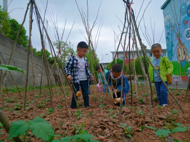 新华网客户端|通江七小：幼儿实践园里的幸福时光