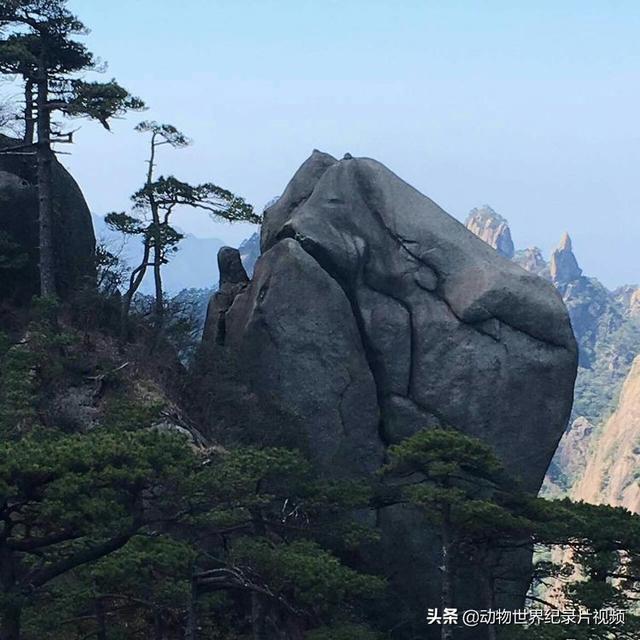 游江西上饶三清山