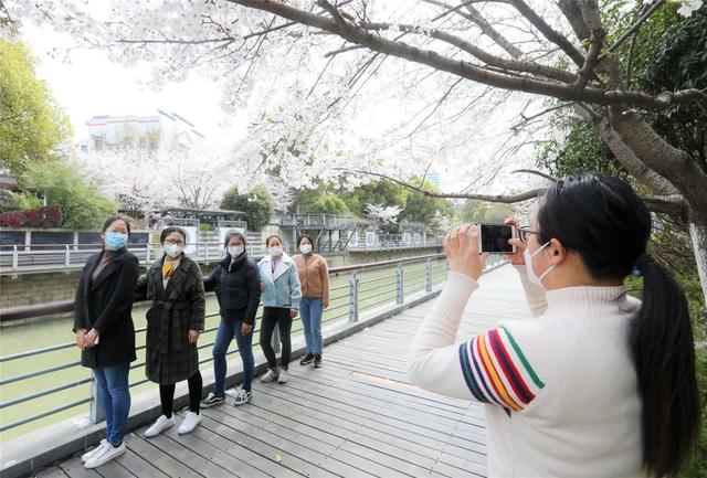 「趣旅游」趁樱色,入画来!