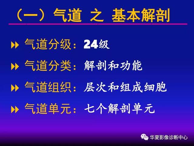 肺间质性疾病的解剖、病理、影像分析