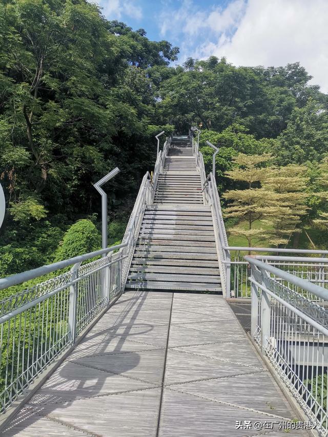 【山楂味的诗】走马观花,看顺德大良。