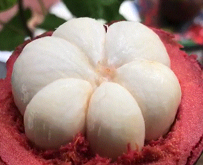 超级宝妈|若工资允许,建议孩子多吃这5种水果,远离垃圾零食,变高变聪明