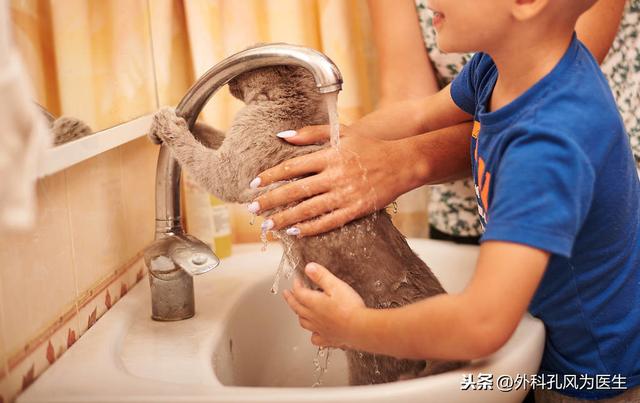 虽然狂犬病死亡率几乎达100%，生存期不超过5天，但可以预防