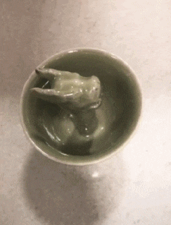搞笑gif,蚂蚁:老大说今晚做鱼头火锅,兄弟们加把劲啊