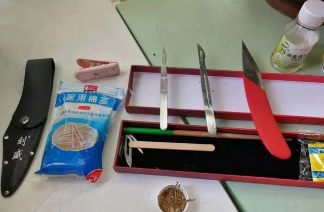 嫁接蟹爪兰只能用砧木？试试萝卜头，简单几步，没想到长得真不错