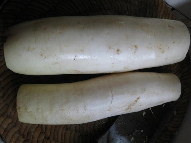 炸萝卜丸子，盐渍还是焯水？多加2样，丸子外酥里嫩，放凉不发硬