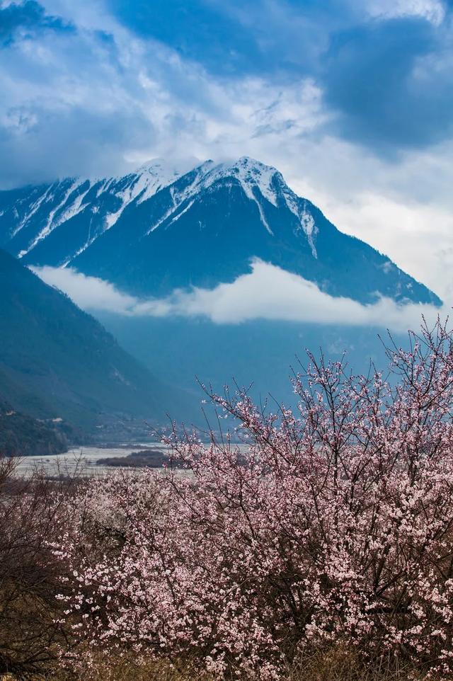 「旅行柚子君」天上云海！地上花海！这些冒着仙气的地方，竟藏了中国最美风景