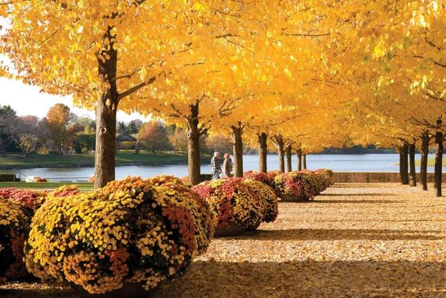 「旅行柚子君」浪漫花园:欣赏各地奇珍异草共同生长的繁荣景象