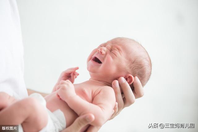 暖洋洋的灯光|年轻人“恐婚育”不生孩子？2019年人口出生率再创新低，二胎乐观