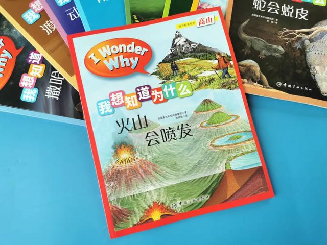 「影视交流地」黄圣依被5岁儿子嫌弃却获赞无数:用百科书喂大的孩子眼界不一般