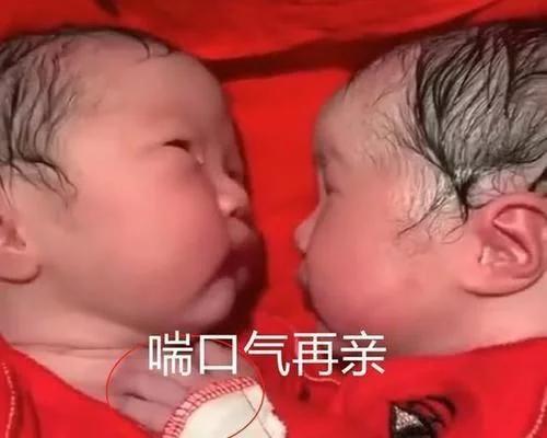 超级宝妈|好有爱！龙凤胎出生才20分钟，妹妹就“夺走”哥哥的初吻
