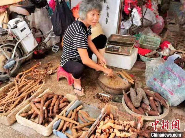 广东侨乡台山人冬日进补喝“牛大力”