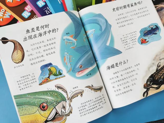 「影视交流地」黄圣依被5岁儿子嫌弃却获赞无数:用百科书喂大的孩子眼界不一般