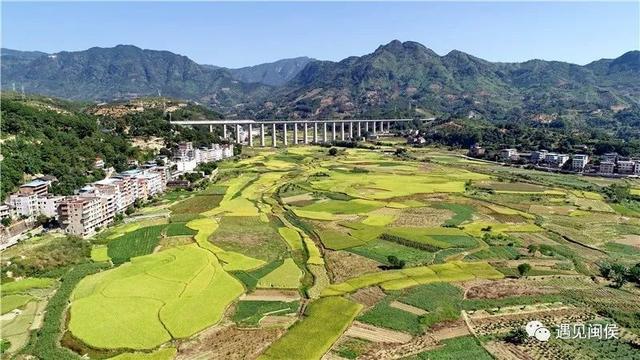 旅行百事通■国家级森林乡村！闽侯有5个村庄上榜