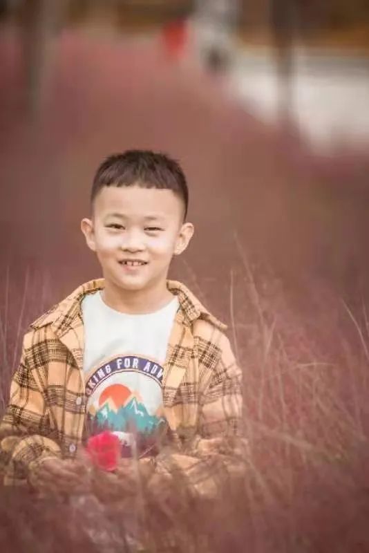 教育|阅听 | 教育其实是一个发现美的过程