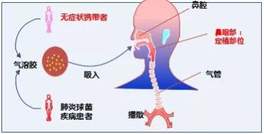 『你的育儿经』@家长们：这个疫苗及时给孩子接种，能抵御肺炎球菌侵袭！