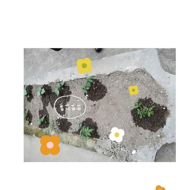 你的育儿经@孩子太小，没有时间观念？不妨试试“具象化”时间
