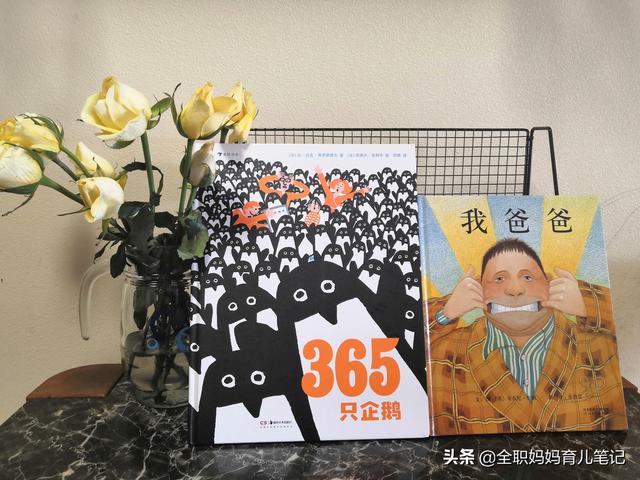 【超级宝妈】开什么玩笑，为什么有人寄一只企鹅过来？