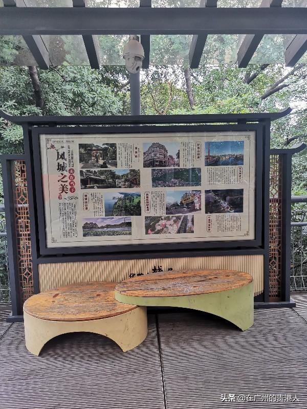 【山楂味的诗】走马观花,看顺德大良。