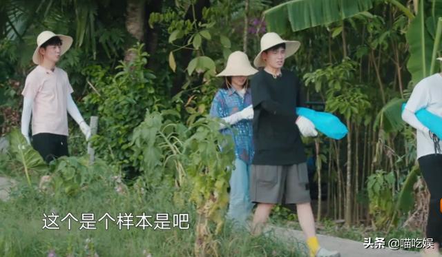 橘子味的猫|胡先煦问哪有西瓜苗?摄像师赶紧补了一个镜头特写,不是糊弄人吗