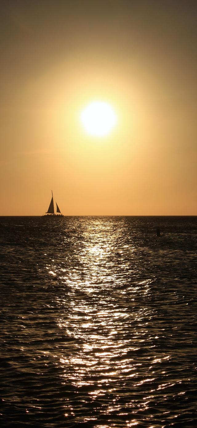 壁纸优选：分享一些不错的手机壁纸