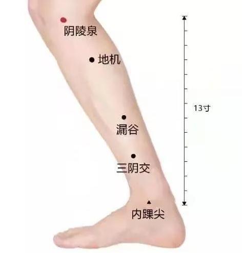 阳气|今日立春丨这些立春养生全攻略值得收藏转发