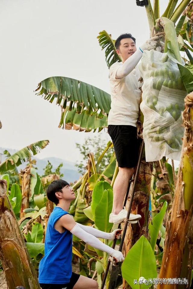 《向往的生活》：沙溢成五星级景点，郭麒麟意外透露择偶标准？fun娱乐