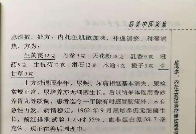 岳美中医案精读之二——慢性肾盂肾炎的治疗