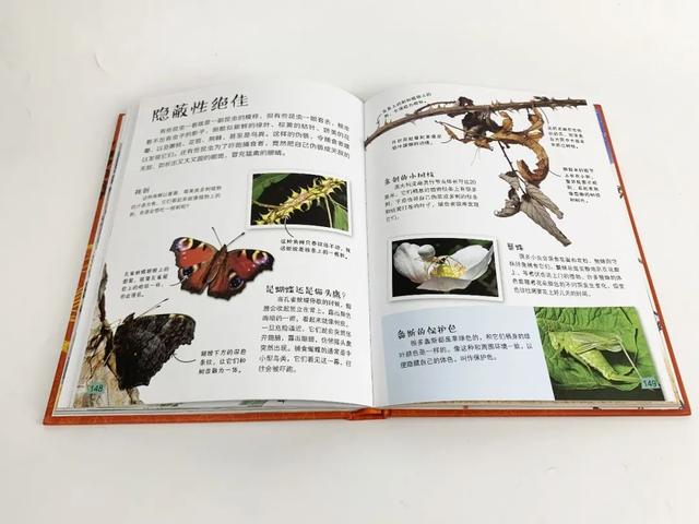 「超级宝妈」如何应对孩子“十万个为什么”？无需真物演示，就能领略生命之美