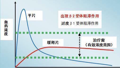 阻滞剂|酒石酸美托洛尔（倍他乐克）片和琥铂酸美托洛尔缓释片有什么差别