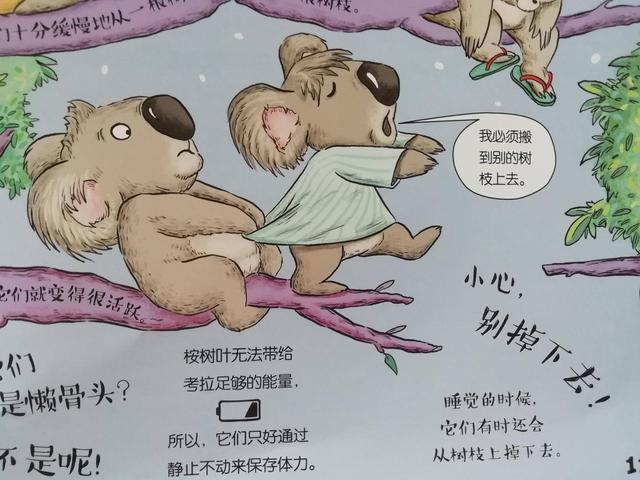 你的育儿经■适合3岁小朋友读的动物科普书