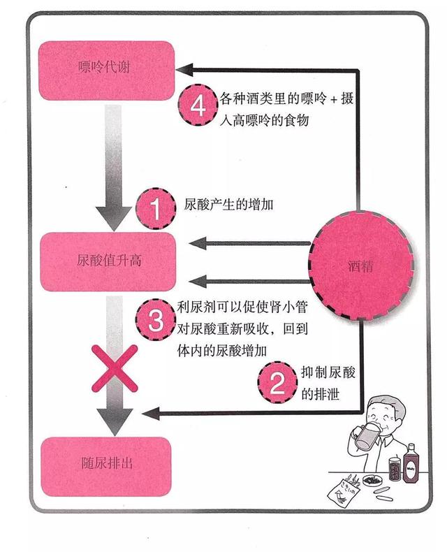 还没富贵就得了“富贵病”！把精力全部倾注于事业的人要注意