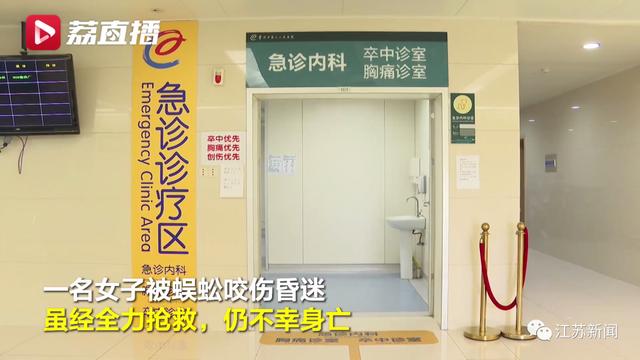 咬伤|被它咬了一口，女子窒息身亡！医生：第一时间应这样做