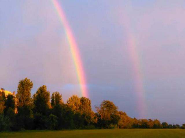 中晚期卵巢癌靶向治疗全解：一线维持治疗具体怎么做？