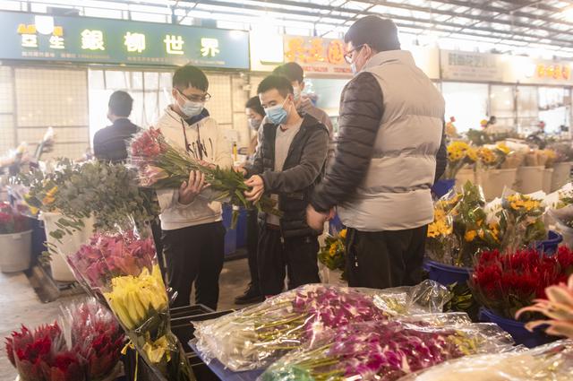 节前广州花卉行情如何？年桔蝴蝶兰“愁”，鲜