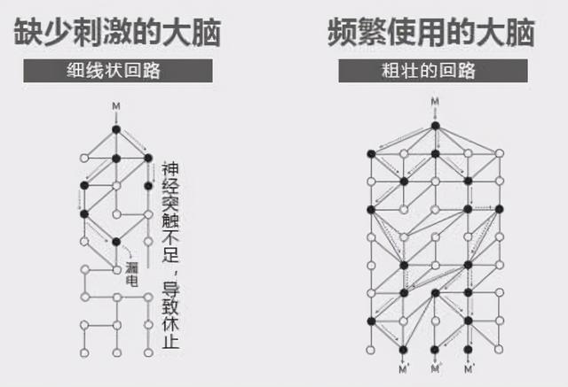 3岁前是大脑发育的“黄金期”，多“刺激”宝宝，能促进大脑发育