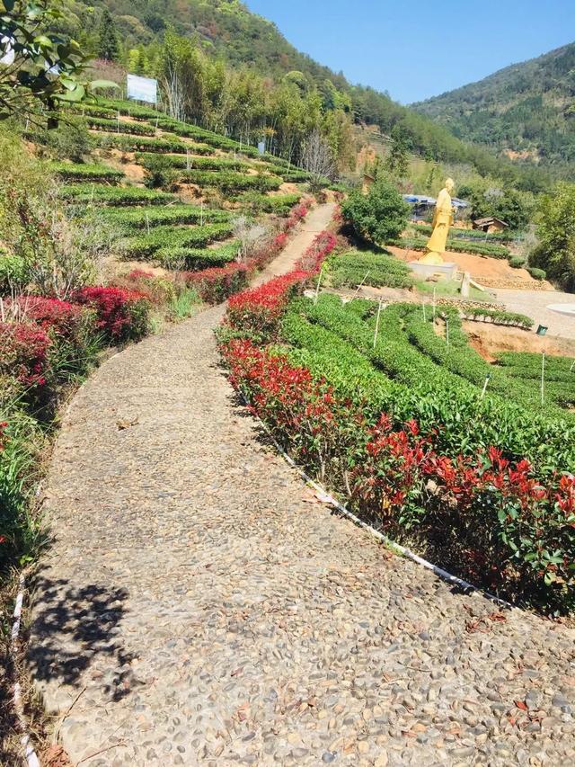 【超级宝妈】别样过假期，携手共育促成长——家乡篇