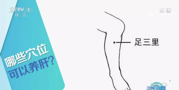 乙醇|春季养肝=“养命”，送你一份最全“肝脏养护说明书”