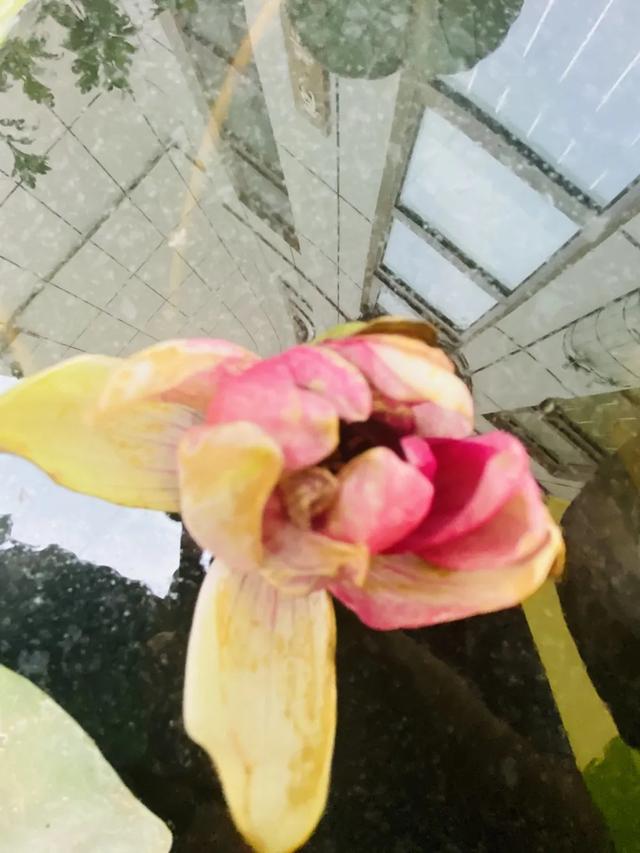 齐鲁东营资讯|开学啦 我们不见·不散