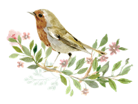 「麻辣杂谈」无锡首批8家景区室外区域明天起将有序开放