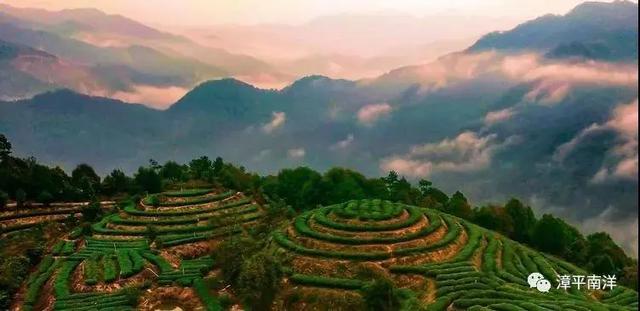 【超级宝妈】别样过假期，携手共育促成长——家乡篇