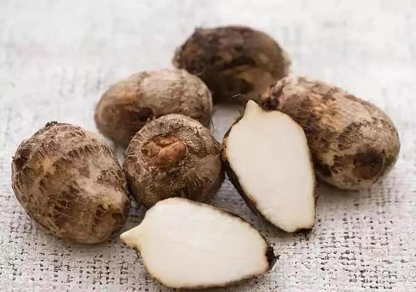 发芽|8种发芽的食物不但可以吃，反而能提高营养价值