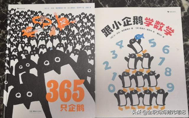 【超级宝妈】开什么玩笑，为什么有人寄一只企鹅过来？
