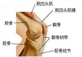 科普 |“老寒腿”是不穿秋裤冻出来的？秋裤：这锅我不背