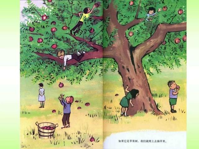 超级宝妈■「家园直通车」南平市建阳区第二实验幼儿园小天鹅空中课堂第九辑——大班段