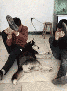 2. 狗子:你们两个人给我看好了,我给你们示范一次!