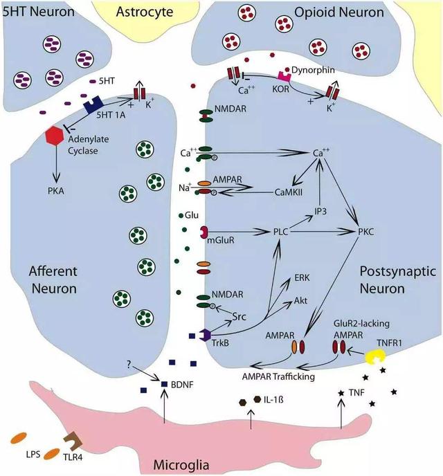 辟谣！吃抗精神病药物就是精神分裂症了？那可不一定